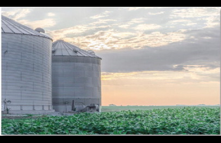 Nebraska Corn Board and Nebraska Soybean Board Promote Stand Up 4 Grain Safety Week