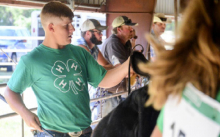 4-H’ers shine at revised county fair