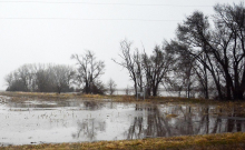 More than 5 inches of rain floods parts of county