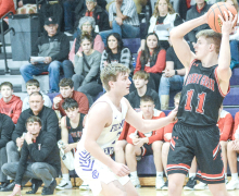 Cougars fall at Fillmore Central, 45-33 blow past Superior Wildcats 65-41 Feb. 8