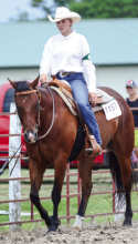 Horse Show backed by strong support, love of horses