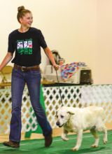 Kempf turns attention to dog show after co. fair