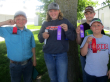 Youth participate in livestock judging contest