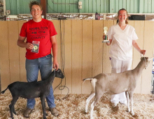Clay Co. hosts Regional Dairy Goat Show