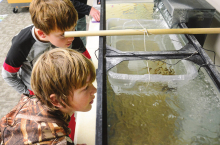 Sutton Christian School dives into Trout in Classroom project