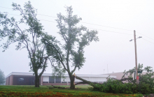 Strong storm damages trees, causes tornado warning July 16