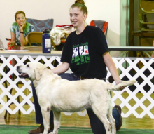 Kempf turns attention to dog show after co. fair