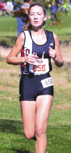 Three compete at state cross country