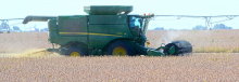 Harvest underway, drought conditions continue