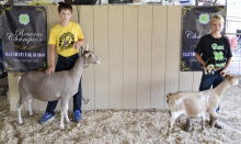 4-H’ers participate in Dairy Goat Show