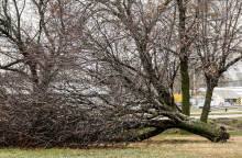 Lt. Gov. Foley declares State Disaster for areas affected by Dec. 15 windstorms