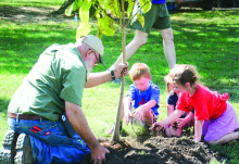 Glenvil tree planting is a community project