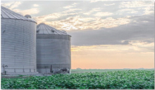 Nebraska Corn Board and Nebraska Soybean Board Promote Stand Up 4 Grain Safety Week